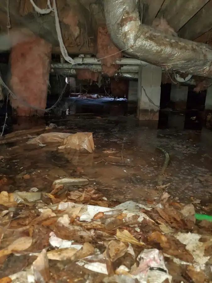 Crawl space flood assessment for Leak Detection & Repair in Smithville